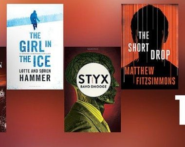 Best Thriller Books to Buy for Gifts in 2015