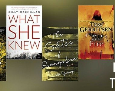 Best Psychological Thrillers to Gift in 2015