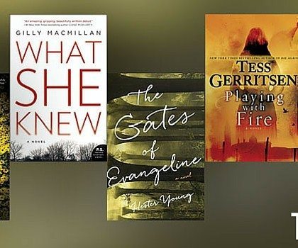 Best Psychological Thrillers to Gift in 2015