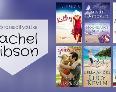 Books to Read if You Like Rachel Gibson