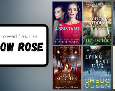 Books To Read If You Like Willow Rose