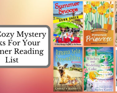 New Cozy Mystery Books For Your Summer Reading List | 2020