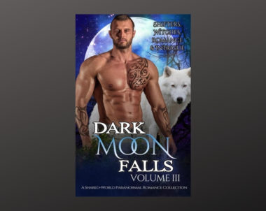 Interview with the Authors of Dark Moon Falls: Volume 3