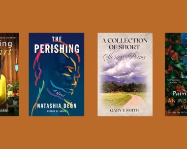 New Books to Read in Literary Fiction | November 30