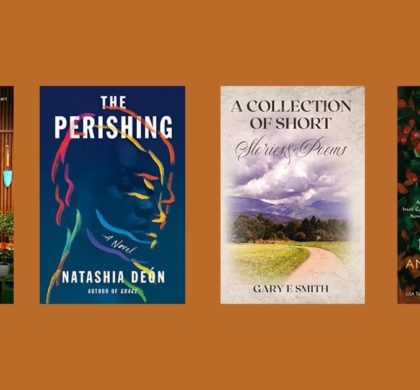 New Books to Read in Literary Fiction | November 30