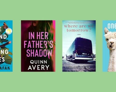 New Books to Read in Literary Fiction | November 9