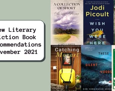 New Literary Fiction Book Recommendations | November 2021