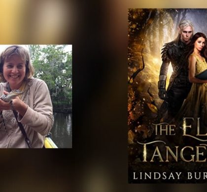 Interview with Lindsay Buroker, Author of The Elf Tangent