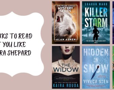 Books to Read if You Like Sara Shepard