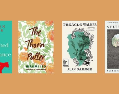 New Books to Read in Literary Fiction | December 13