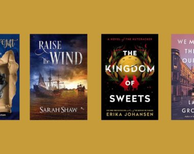 New Books to Read in Literary Fiction | November 28