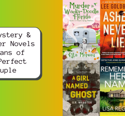 New Mystery & Thriller Novels for Fans of The Perfect Couple