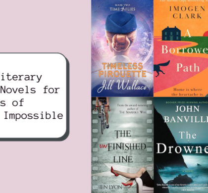 New Literary Fiction Novels for Fans of The Life Impossible